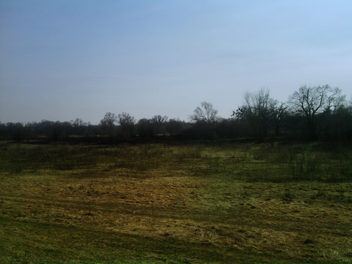 Wypalone trawy na chełmońskiego wrocław 2011