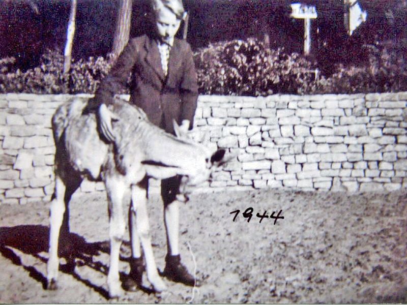 Archiwalne zdjęcie pracownika ZOO