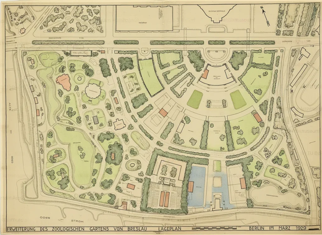 Kolorowy plan sytuacyjny rozbudowy Ogrodu Zoologicznego we Wrocławiu z 1929 roku, przedstawiający projekt zagospodarowania terenu z wybiegami i alejkami.