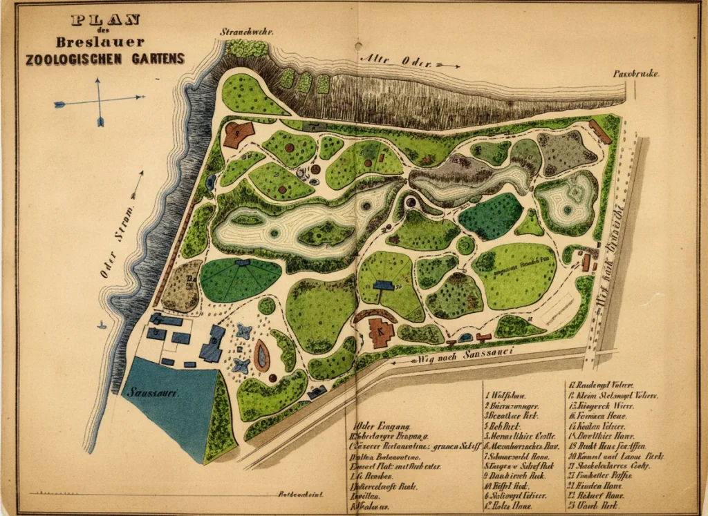 Stara, kolorowana mapa Ogrodu Zoologicznego we Wrocławiu z XIX wieku, zatytułowana Plan des Breslauer Zoologischen Gartens.