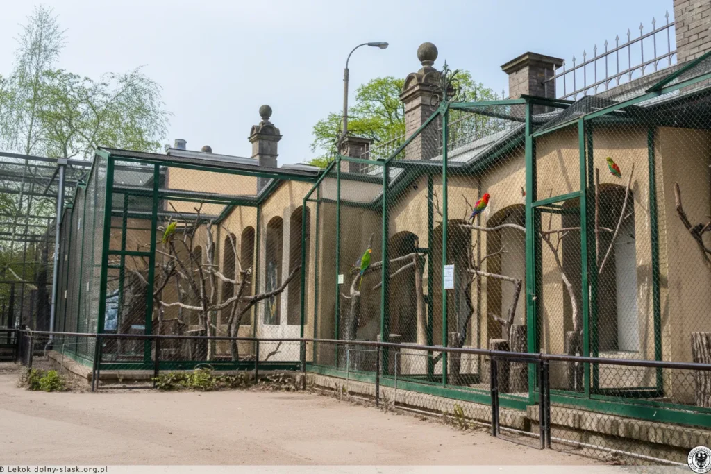 Szereg zewnętrznych wolier z siatką i zielonymi ramami w Zoo Wrocław, w których przebywają kolorowe papugi.