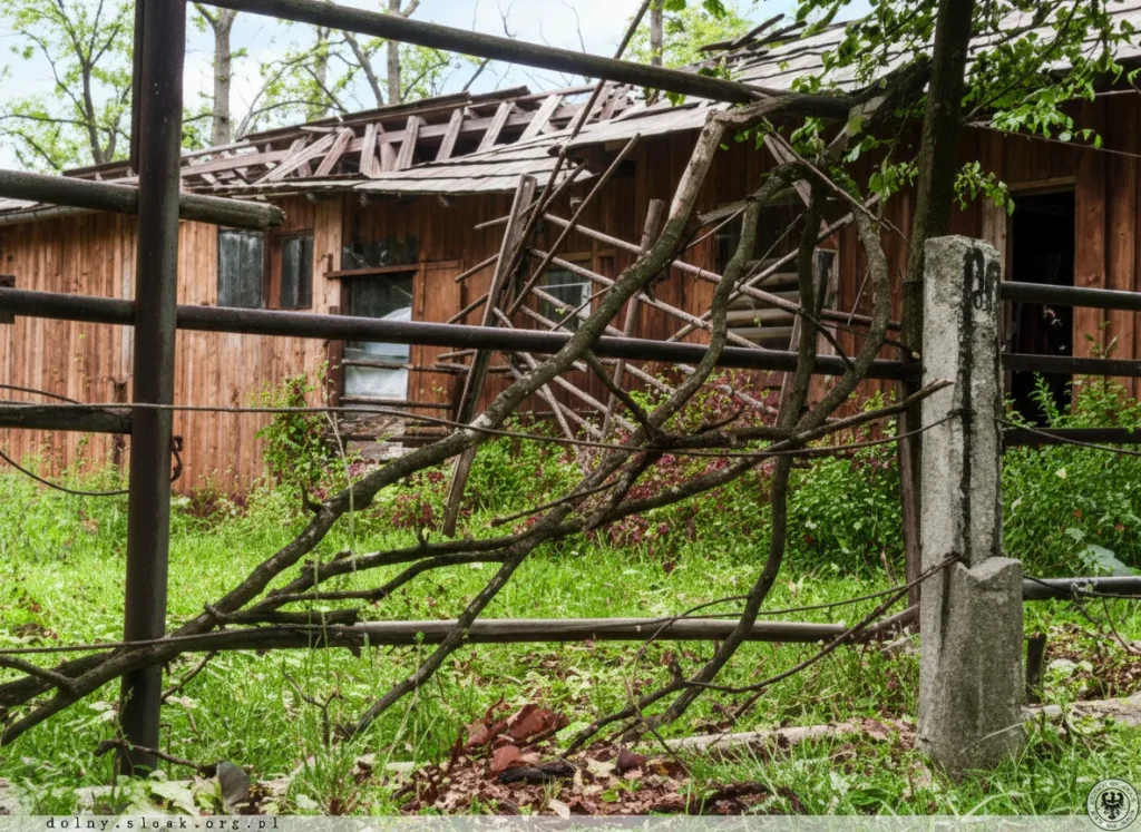 Widok na zrujnowany drewniany budynek gospodarczy z zapadniętym dachem na terenie Miejskiego Ogrodu Zoologicznego we Wrocławiu.